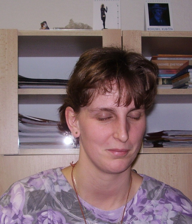 Pan kolnice zvtit